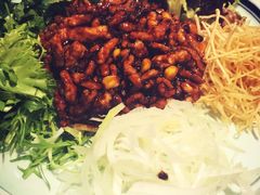 京酱肉丝-京氣春饼(机场店)