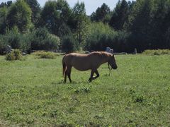 -北极村旅游风景区