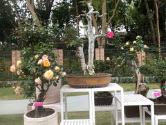 -人民公园(罗湖区)