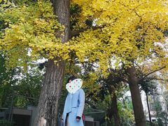 -四川大学(望江校区)
