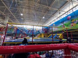 -爱丽丝奇幻乐园