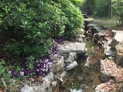 -昆山城市生态森林公园