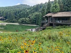 -武陵山森林公园