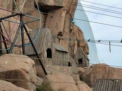 -西霞口神雕山野生动物世界