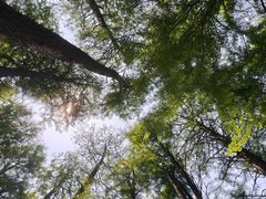 -采石矶景区