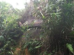 -白云山风景名胜区
