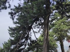 -终南山南五台景区