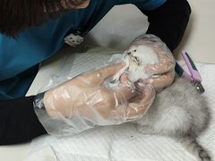 -宠颐生中康贝怡动物医院