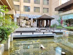 -三清山希尔顿度假酒店