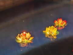 -净行天厨(莲塘总店)