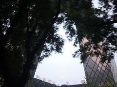 -中央广播电视总台(光华路办公区)