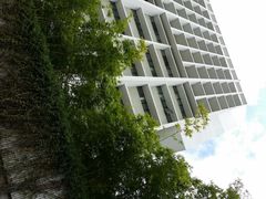 android_upload_pic-香港大学