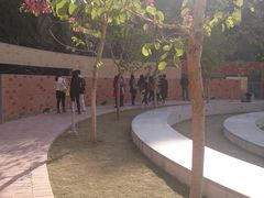 -香港大学