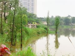 -美的鹭湖森林度假区