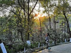 -杭州半山国家森林公园