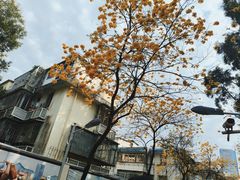 -人民公园(罗湖区)