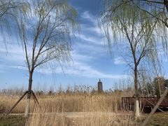 -西海子公园