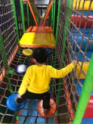 -爱丽丝奇幻乐园