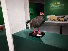-中国湿地博物馆