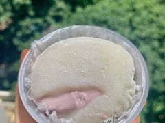 -喜茶(滨江宏岸店)