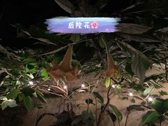 -懒鱼时光馆(沙坪坝店)