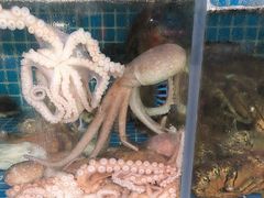-东海章鱼馆(恒瑞街店)