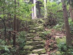 -张正麻辣串(包河万达店)