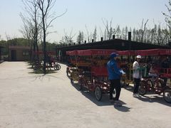 -上海长兴岛郊野公园