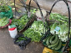 -清远三鸟海鲜农贸市场