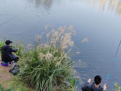 -重庆彩云湖湿地公园