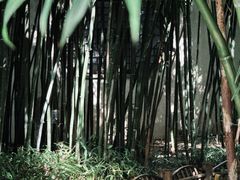 -个园