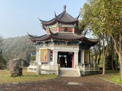 -东方大寿星园