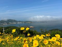 -枸杞岛