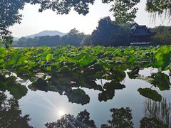 -西湖游船