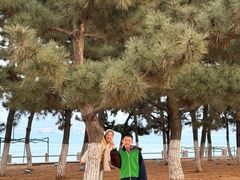 -悦海公园