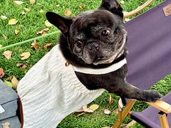 -J Create城市露营咖啡·简餐·宠物(上海动物园店)