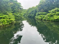 -济州森林小火车生态公园