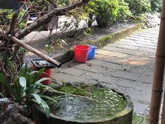 -乐领拈花溪·林涧食韵
