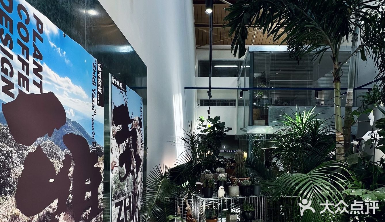 躺在城市森林晒会儿太阳🍃给精神以光合作
