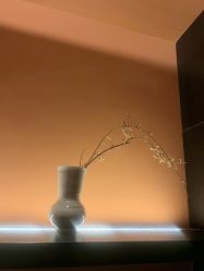 -禾美科技美肤·芳香疗愈SPA联合会所