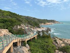 -广东惠东海龟国家级自然保护区