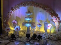 -红丝高端婚礼中心(旗舰店)