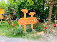-上海海湾国家森林公园