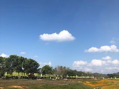 -光明小镇欢乐田园