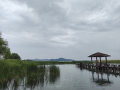 -苏州太湖湖滨国家湿地公园