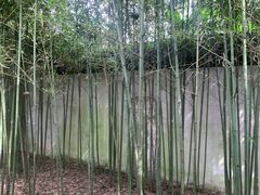 -秋霞圃