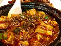 -陈麻婆豆腐总店