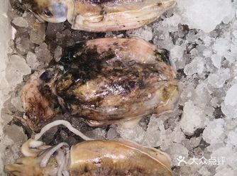 桐照海鲜 宁波本地海鲜村