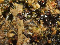 -聚鑫朋酸菜肥肠(文艺路口店)