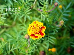 -吉林大学(南岭校区)